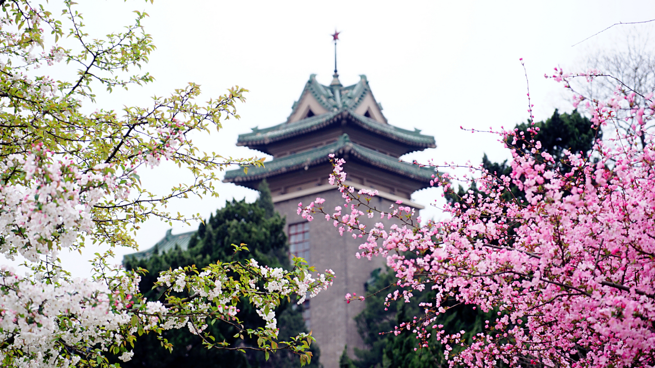 南京农业大学