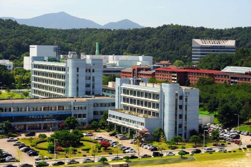 KAIST校园