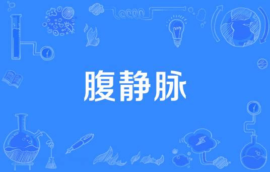 腹静脉