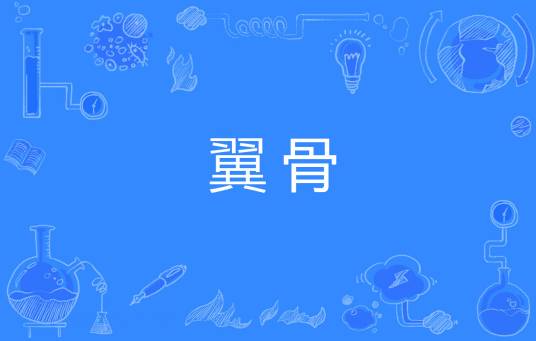 翼骨