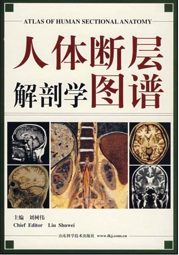 人体断层解剖学图谱