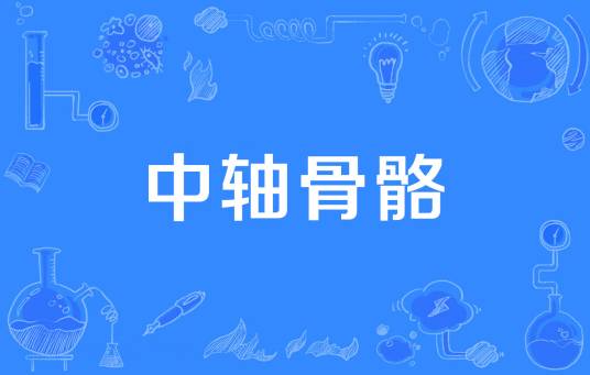 中轴骨骼