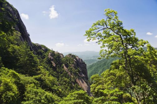 黄山景观