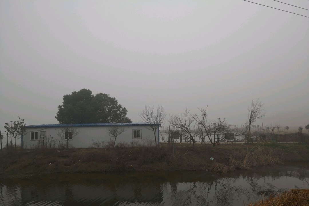 期思镇街景