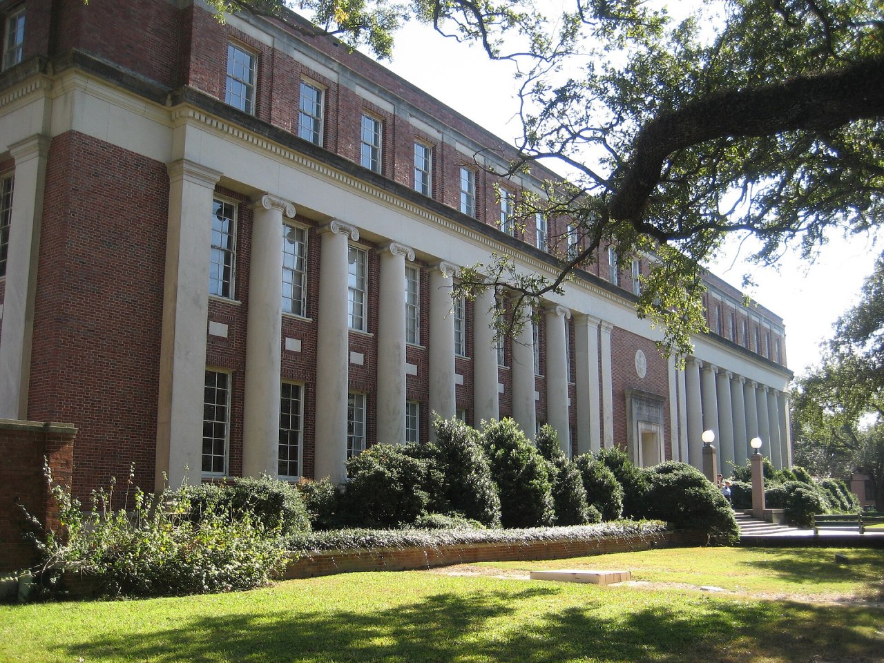 杜兰大学
