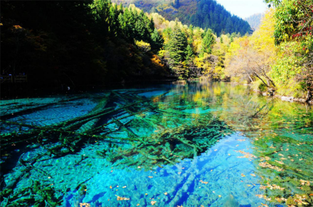 孔雀河道