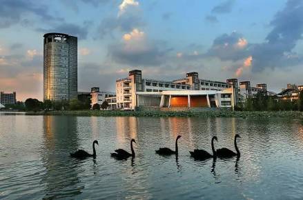 启真湖南华园