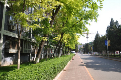 北京师范大学