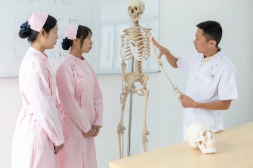 人体骨骼标本辨别实训