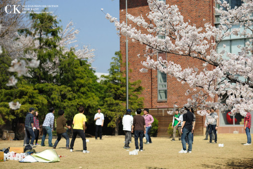 KAIST