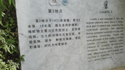 周口店遗址第2地点