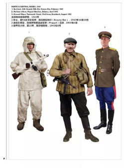 北部和中部俄罗斯,1943年