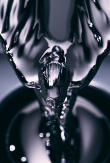 Spirit Of Ecstasy EV