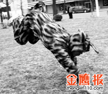 轻功奇人——吕革命