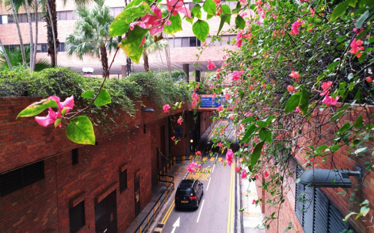 香港理工大学