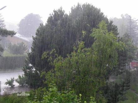 雨
