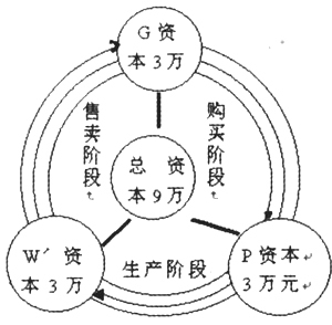资本循环