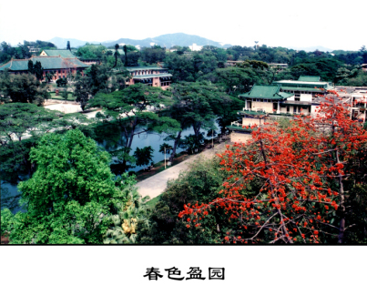 华南理工大学五山校区校园俯瞰