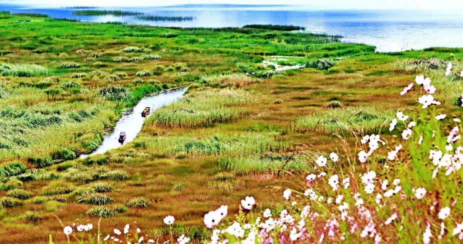 草海