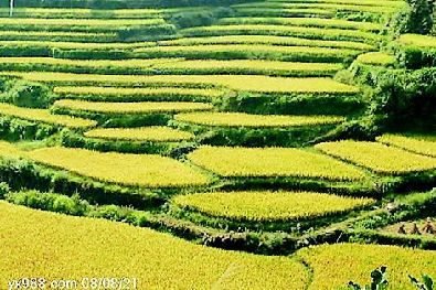 攸县风光