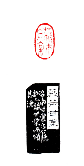 蔽芾甘棠 2.5x2.8cm