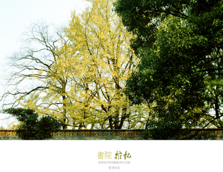 校园风景