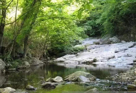 珍珠山乡