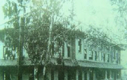 岭南大学
