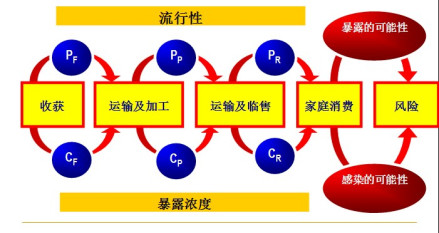 农场到餐桌过程的评估模型