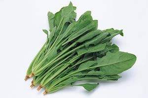 阳台种菜