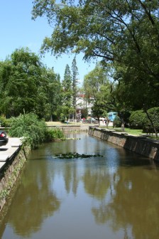 同济大学校园风景图十