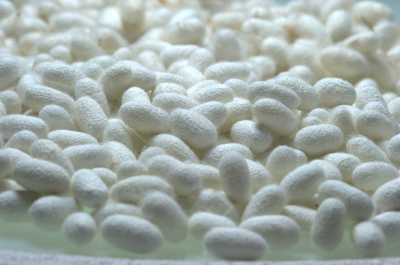 辑里村特产