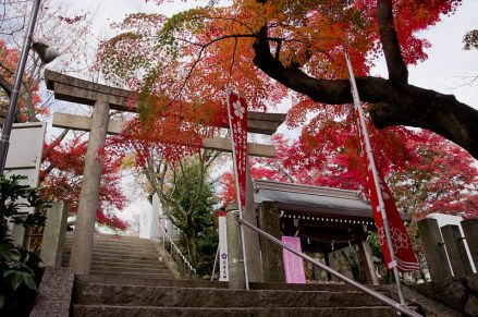 冈崎市神社