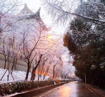 武汉大学的校园建筑