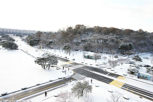 KAIST校园