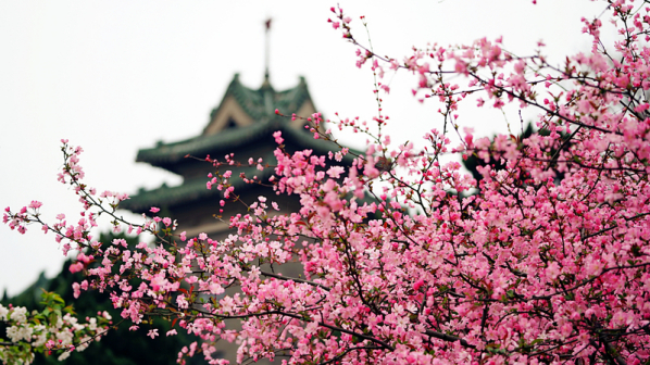主楼风景