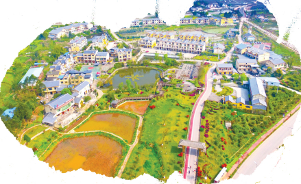 白坪—飞龙乡村振兴示范区