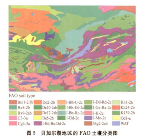 贝加尔湖土壤分类
