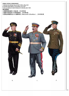 军队指挥官