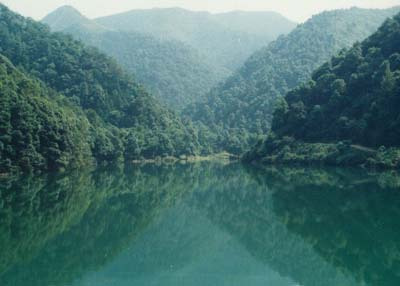 太浮山森林公园