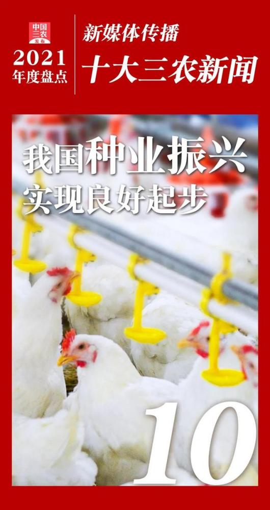 2021年度新媒体传播十大三农新闻