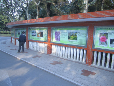 复旦大学