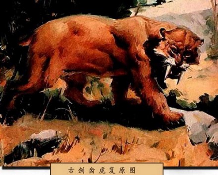 古生物