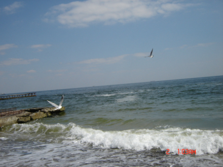 黑海乌克兰海域