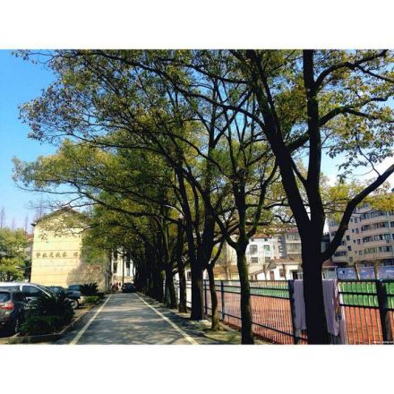 临湘市第二中学