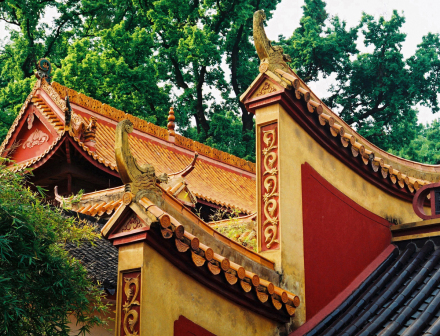 校园风景