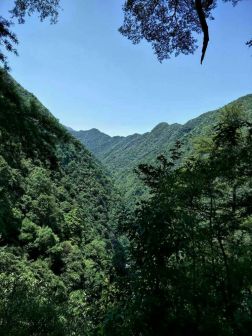沙角洞