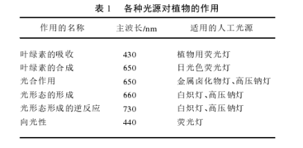 表1 各种光源对植物的作用