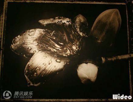 周润发摄影作品集
