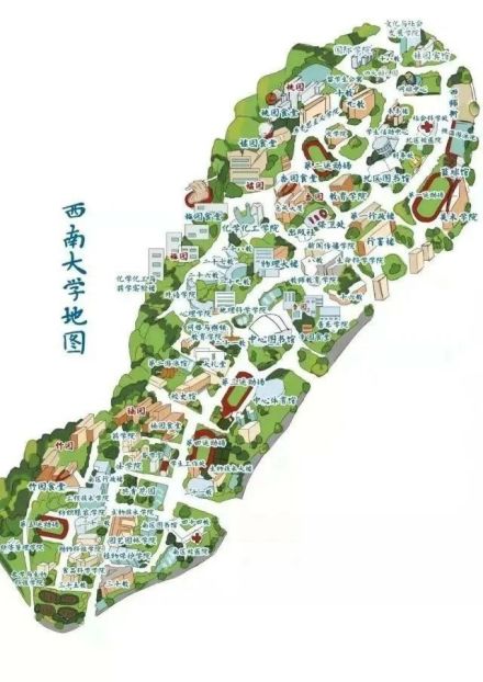 西南大学北碚校区